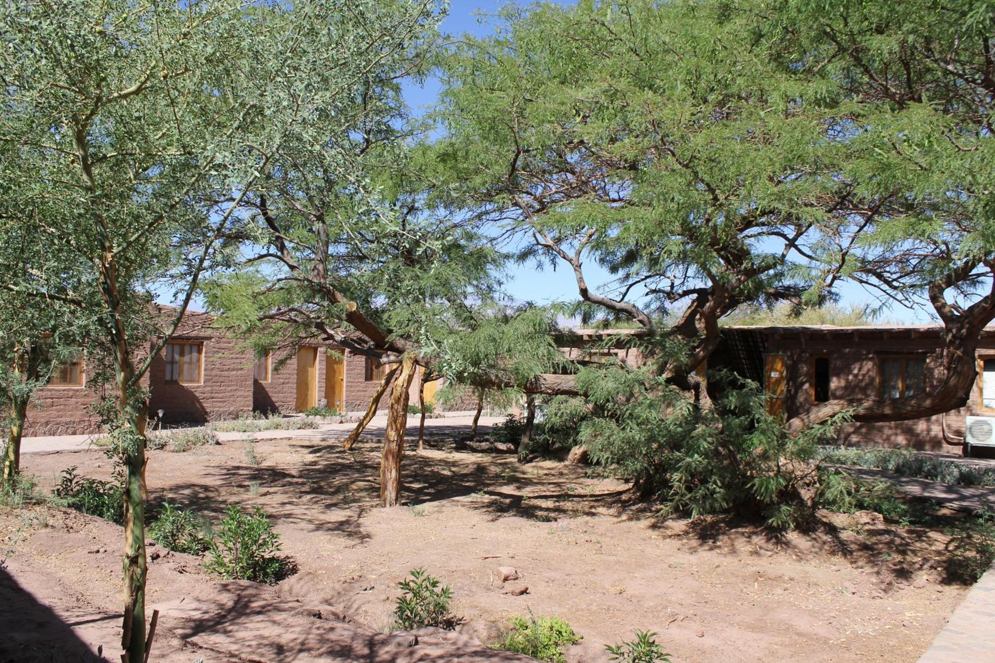 Hotel Casa Don Esteban San Pedro de Atacama Buitenkant foto