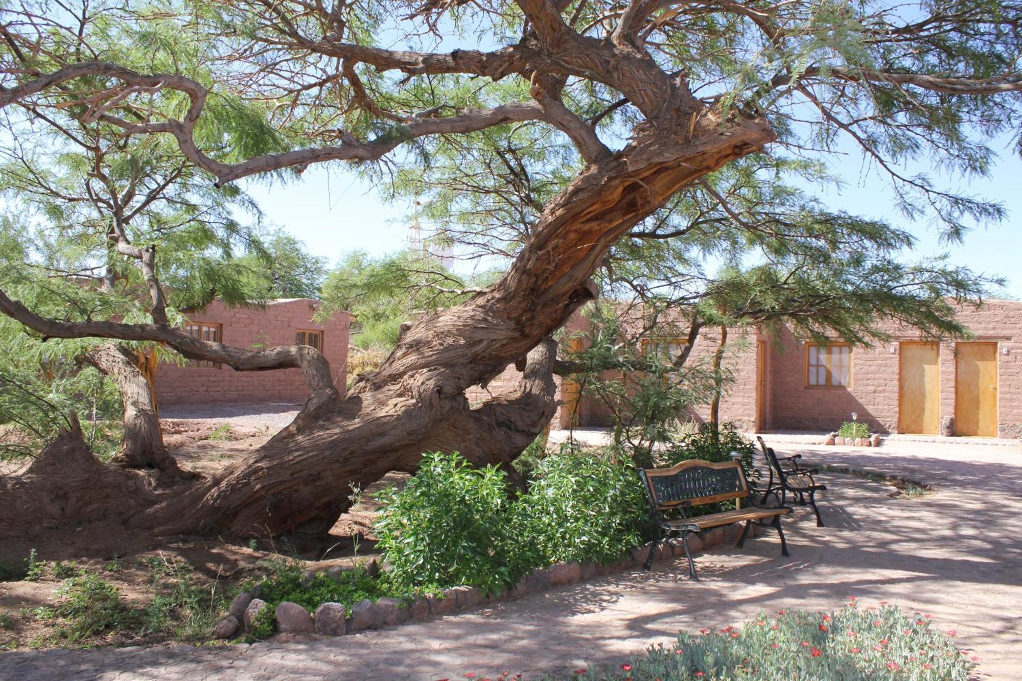 Hotel Casa Don Esteban San Pedro de Atacama Buitenkant foto